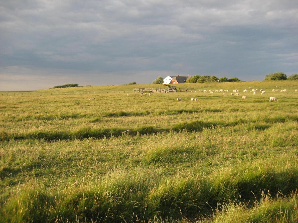 Hof Rickelsbuell - Nordseeurlaub Auf Dem Biobauernhof Rodenäs Exterior foto
