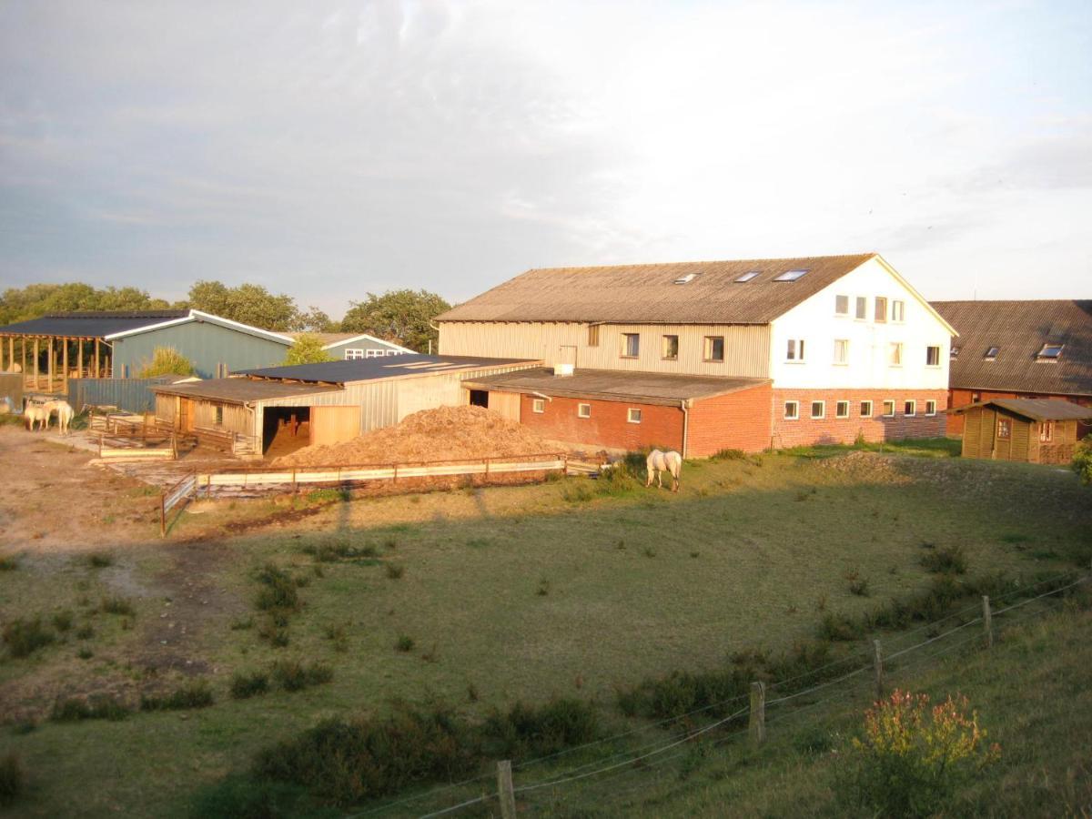 Hof Rickelsbuell - Nordseeurlaub Auf Dem Biobauernhof Rodenäs Exterior foto